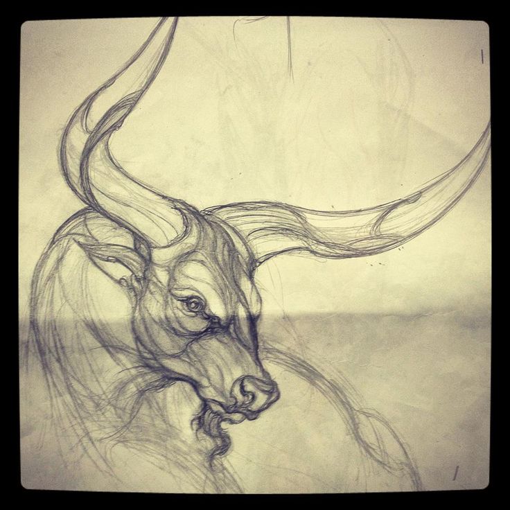 a drawing of a bull's head with long horns