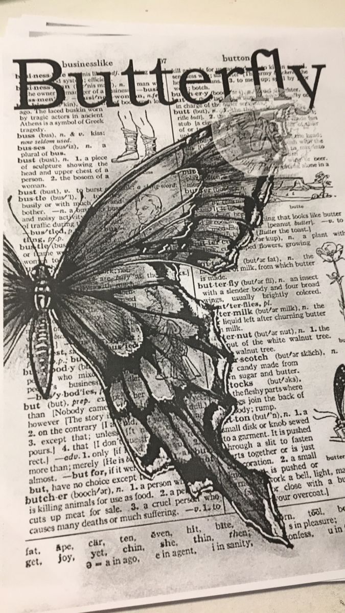 a black and white photo of a butterfly on an old book page