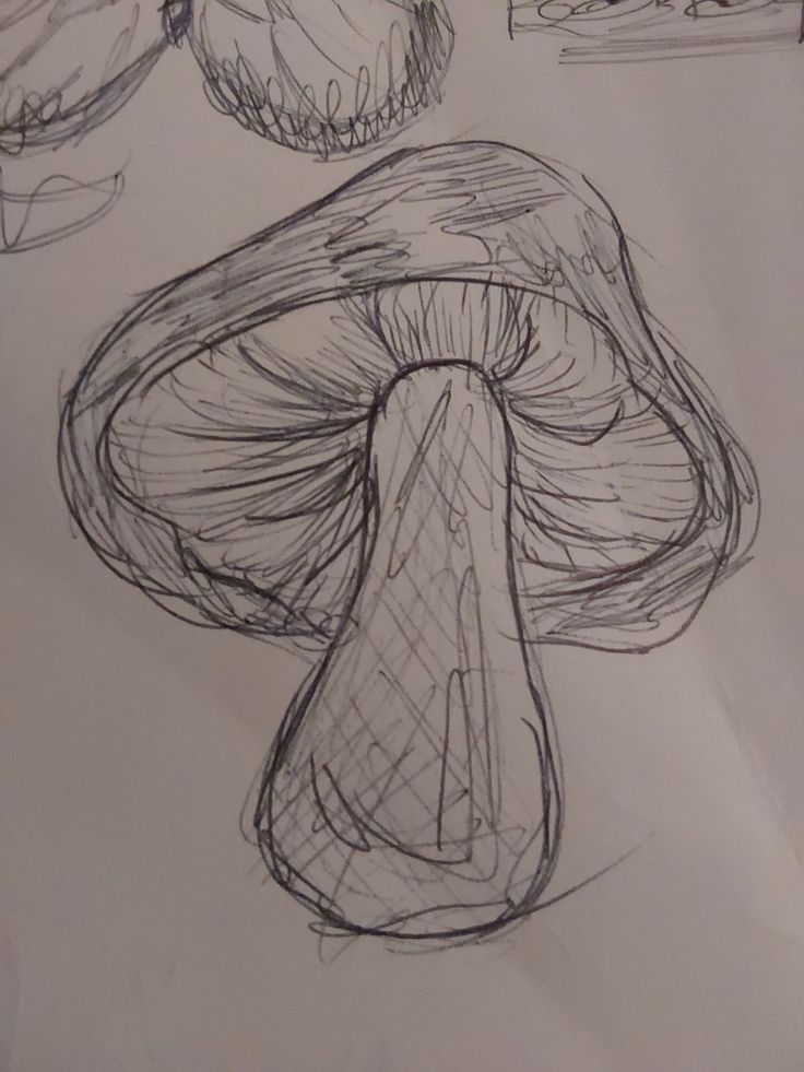 a drawing of three mushrooms on a piece of paper next to some other things in the background