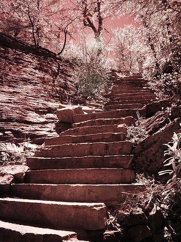 the steps lead up to the top of the mountain are covered with rocks and trees