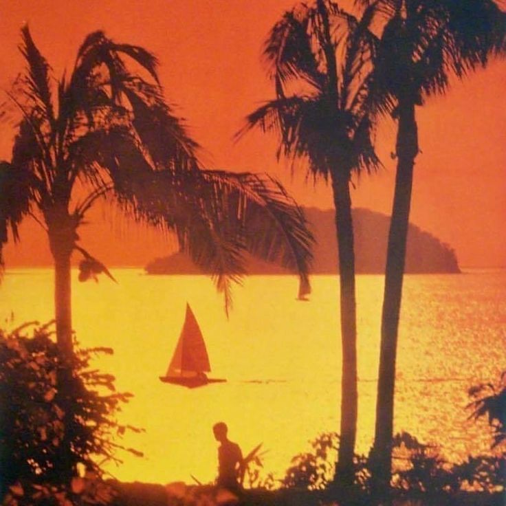 an orange sunset with palm trees and a small sailboat in the water near shore