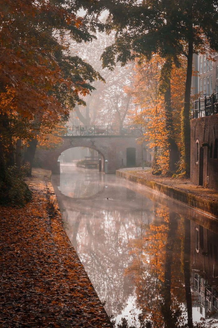 a bridge over a river surrounded by trees and leaves in the foreground, with autumn foliage on the ground