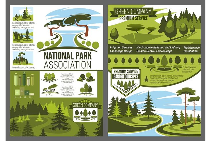 the national park poster with trees, mountains and other things to see in this area