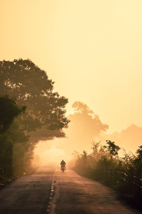 a person riding a motorcycle down the middle of a road with trees on both sides