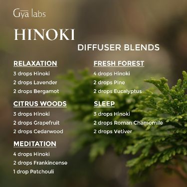 Hinoki Essential Oil, Diffuser Blends Young Living, Essential Oil Diffuser Blends Recipes, Inner Harmony, Essential Oil Diffuser Recipes, Oil Diffuser Recipes, Essential Oil Mixes, Essential Oil Blends Recipes, Essential Oil Benefits