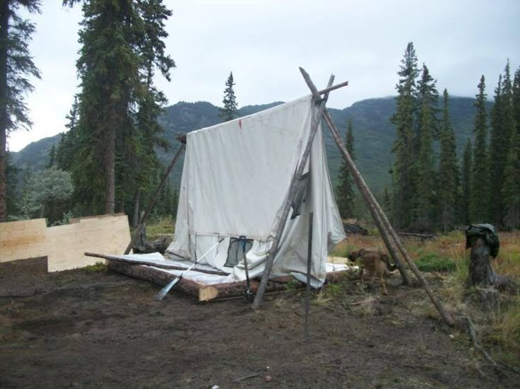 there is a tent in the woods with trees around it and another structure behind it