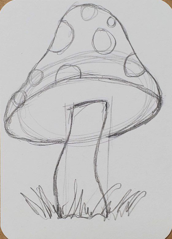 a pencil drawing of a mushroom sitting in the grass