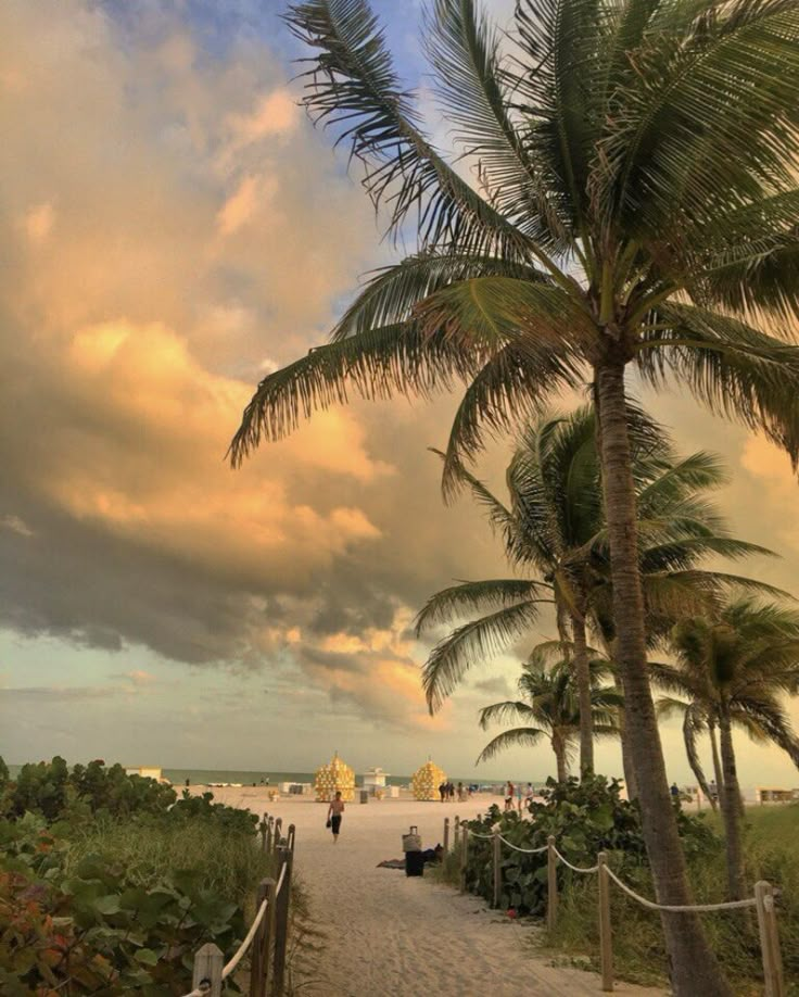 palm trees line the beach as people walk down it on a cloudy day at sunset