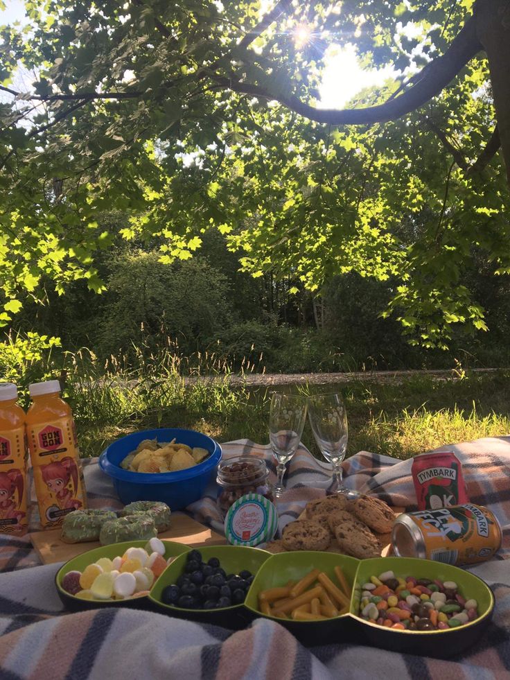 a picnic table with food and drinks on it in the shade of a large tree