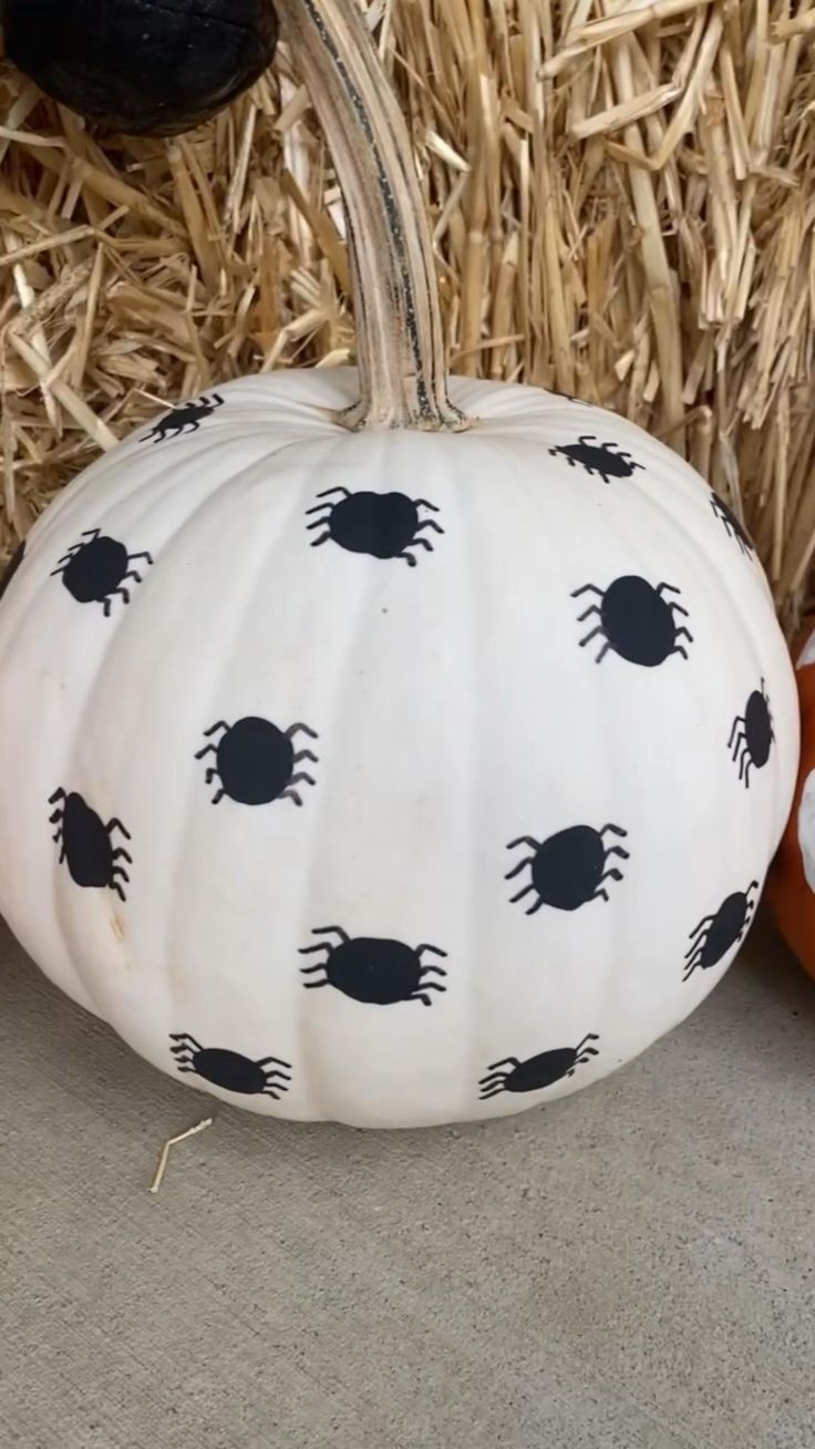 two white pumpkins with black crabs painted on them sitting next to straw bales