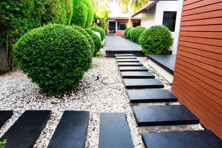 an outdoor garden with stepping stones and trees