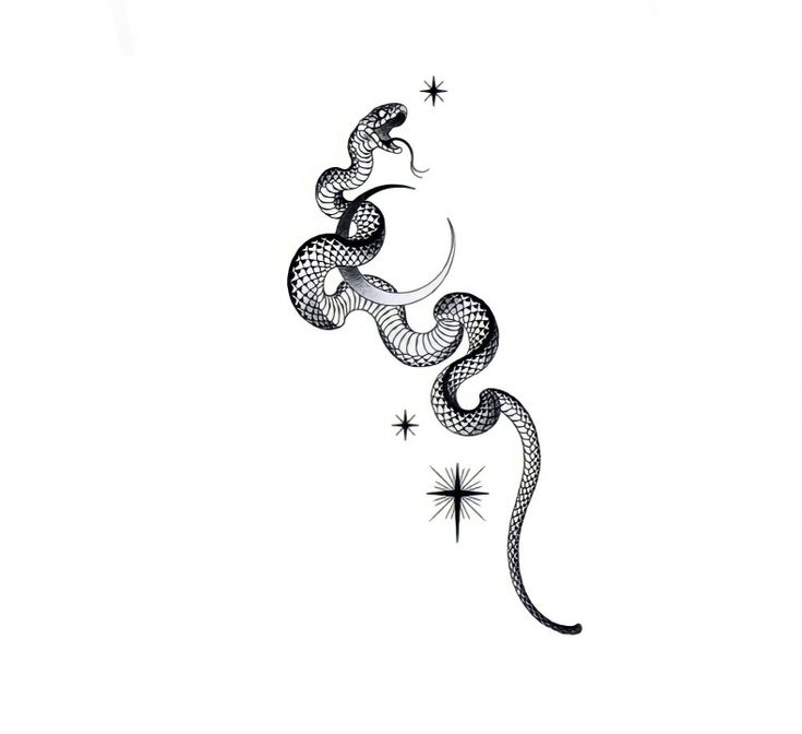 a black and white drawing of a snake with stars on it's back side