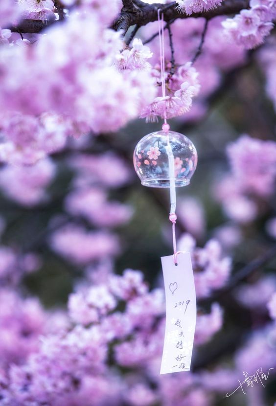 a clear glass ball hanging from a tree branch with pink flowers in the back ground