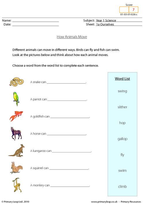 an animal worksheet with words and pictures