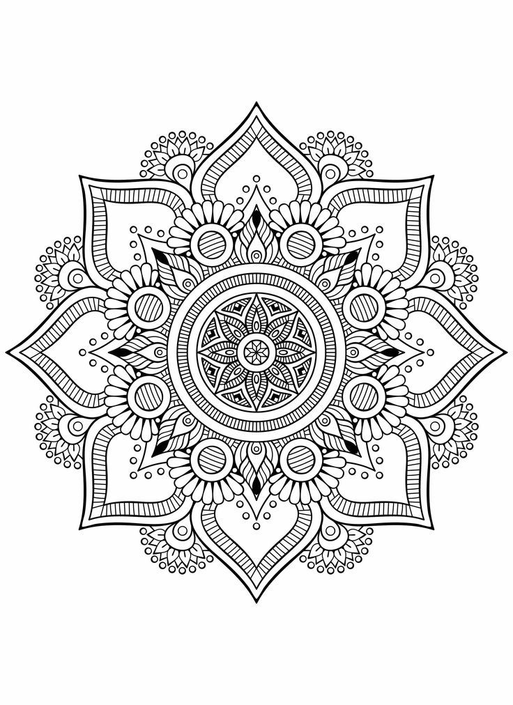 a black and white drawing of a circular design with many details on the top half