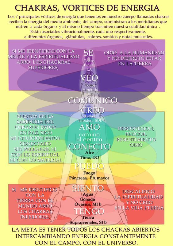 Cada chakra está asociado a una parte del cuerpo, a una glándula, a una nota musical, a un elemento y a un color. A través de estos siete vórtices de energía compartimos ondas de luz viva de diferente frecuencia y amplitud que emanan nuestra información personal, nuestra arquitectura interna espiritual que la conforman nuestras experiencias, deseos, sentimientos, intenciones y nuestros pensamientos conscientes e inconscientes. Los chakras emiten nuestra característica única e irrepetible, en for Nota Musical, Yoga Kundalini, Yoga Mantras, Chakra System, Energy Medicine, Chakra Yoga, Kundalini Yoga, Chakra Meditation, 7 Chakras