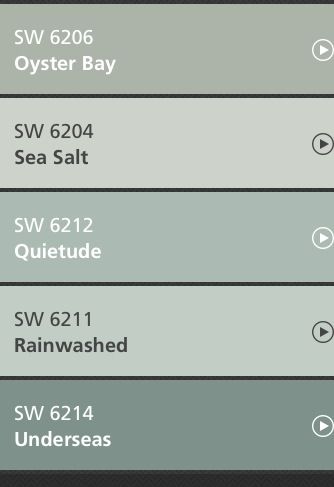 the settings for different types of sea salt are shown in this screenshoter's menu