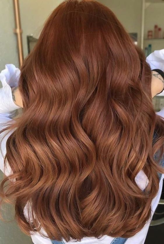 Orange Brown Hair, Dark Ginger Hair, Cinnamon Hair Colors, Copper Brown Hair, Cheveux Oranges, Cinnamon Hair, Red Hair Inspo, Brown Hair Looks, Brown Hair Inspo