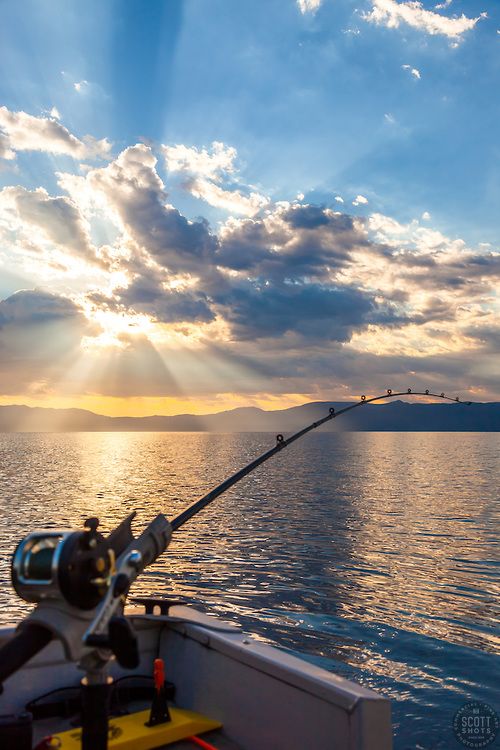 a fishing rod on the back of a boat in the water with sun shining through clouds