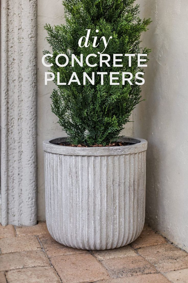 a potted plant with the words diy concrete planters in white over it