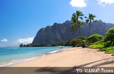 a beach with palm trees and mountains in the background