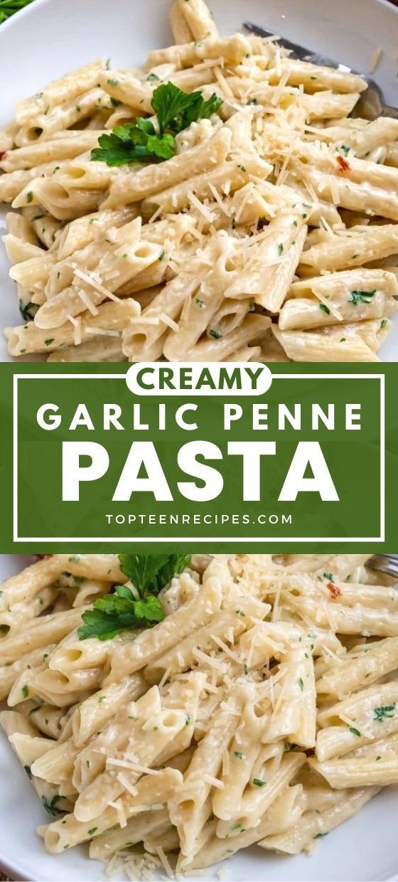 creamy garlic penne pasta on a white plate