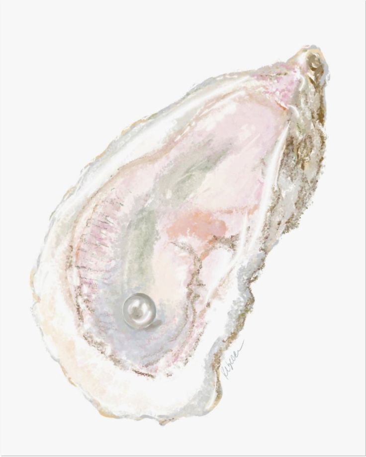 an oyster is shown on a white background with watercolors and pastel paint