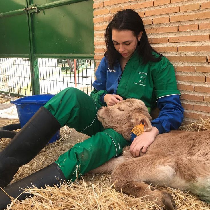 a woman in green scrubs is petting a baby goat while sitting on hay