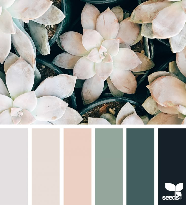 the color scheme is green, pink and grey with white flowers on it's petals