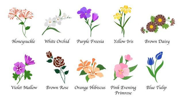 the different types of flowers are shown in this graphic art printable version, which is also available for purchase