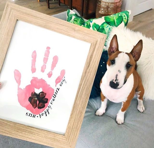 a brown and white dog sitting next to a framed handprint