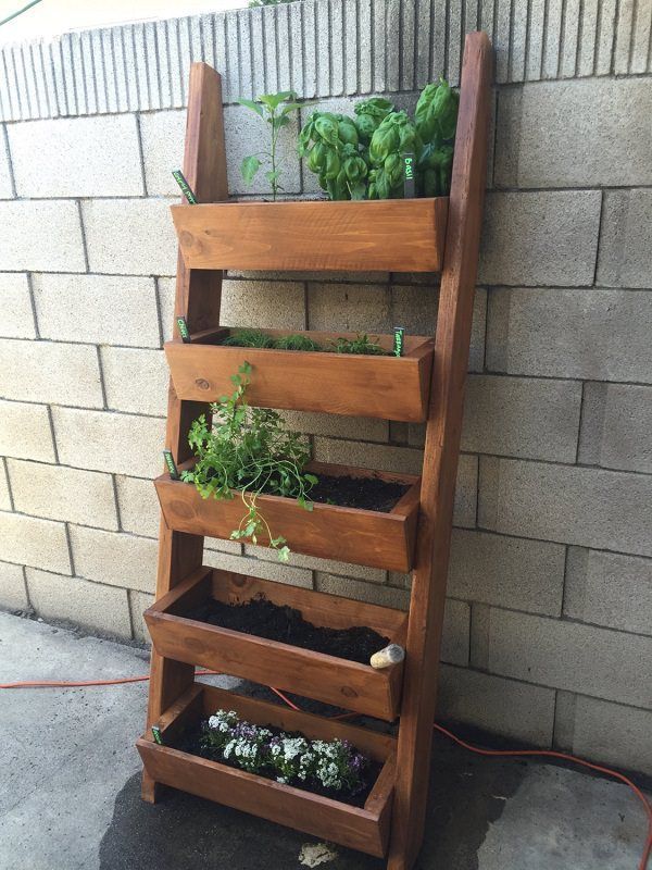 a wooden shelf with plants growing in it