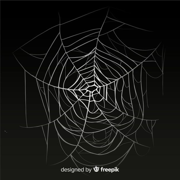 an abstract black and white spider web design