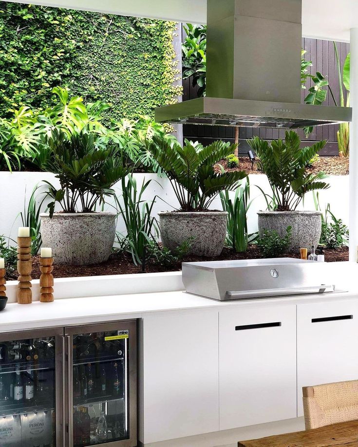 a kitchen filled with lots of potted plants next to a stove top oven and sink