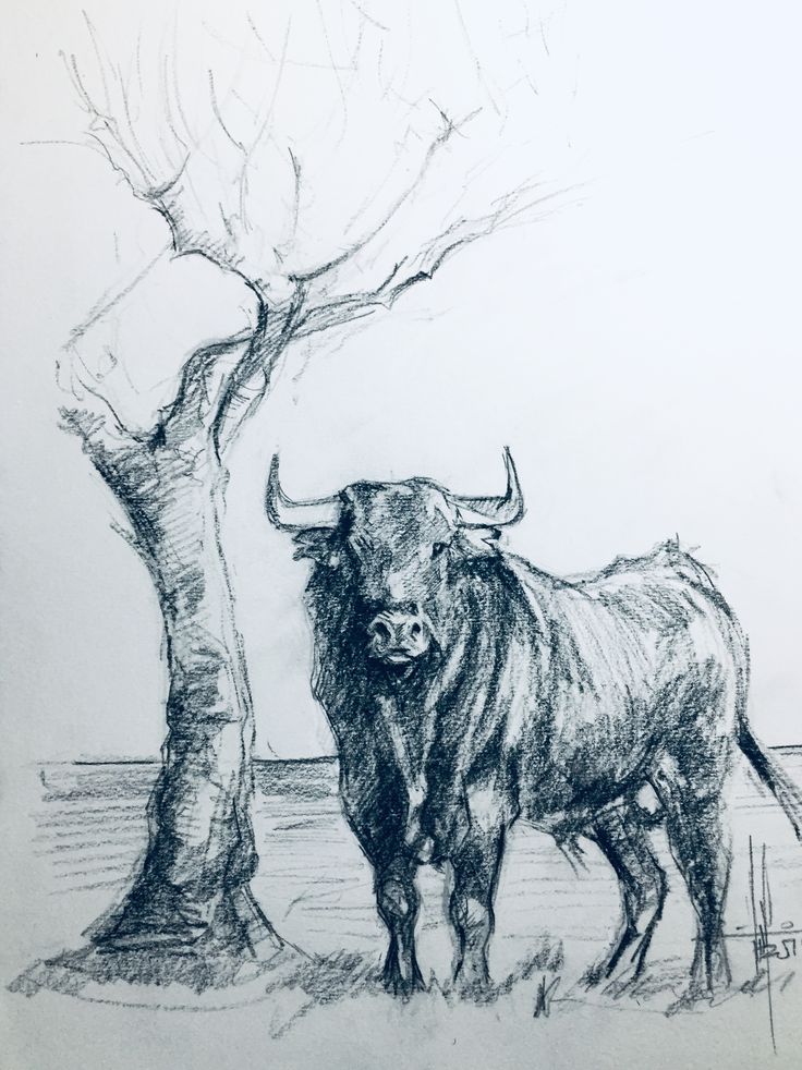 a drawing of a bull standing next to a tree