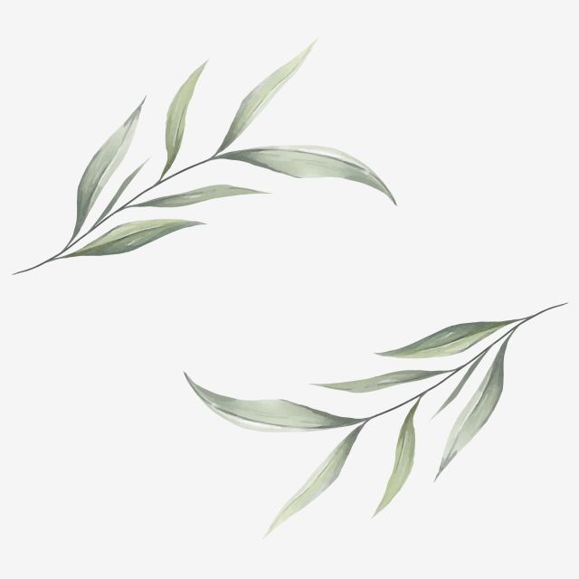 some green leaves on a white background