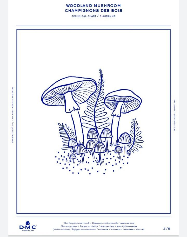 the cover of woodland mushroom champions des bois, with blue ink on white paper