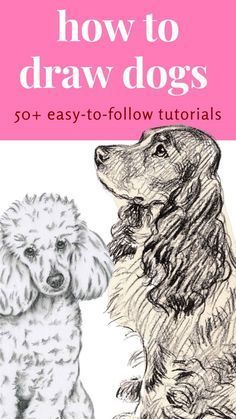 how to draw dogs with easy step - by - step instructions for drawing poodles