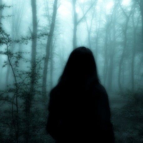 a person standing in front of trees with fog on the ground and behind them is a dark forest