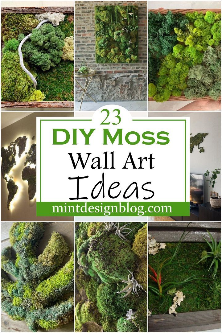 moss wall art ideas that are easy to make