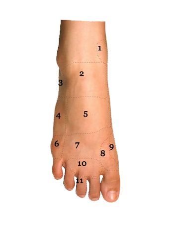 Foot Pain Chart, Foot Pain Relief Remedies, Ankle Pain Relief, K Tape, Foot Reflexology Massage, Foot Anatomy, Pain Relief Remedies, Foot Exercises, Reflexology Chart