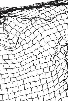 a black and white photo of a net