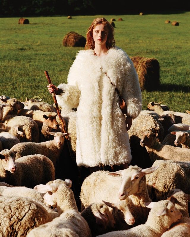 a man in white fur coat standing next to a herd of sheep on grass field