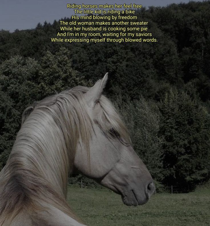 a white horse standing on top of a lush green field next to trees with a poem written below it