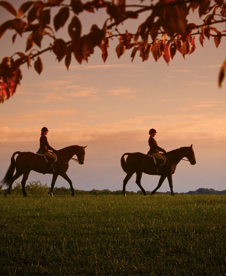 two people are riding horses in the field at sunset or dawn, with one person on horseback behind them