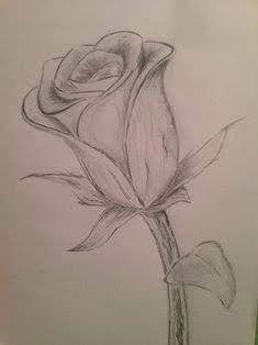 a pencil drawing of a rose with the words yna blogs written below it