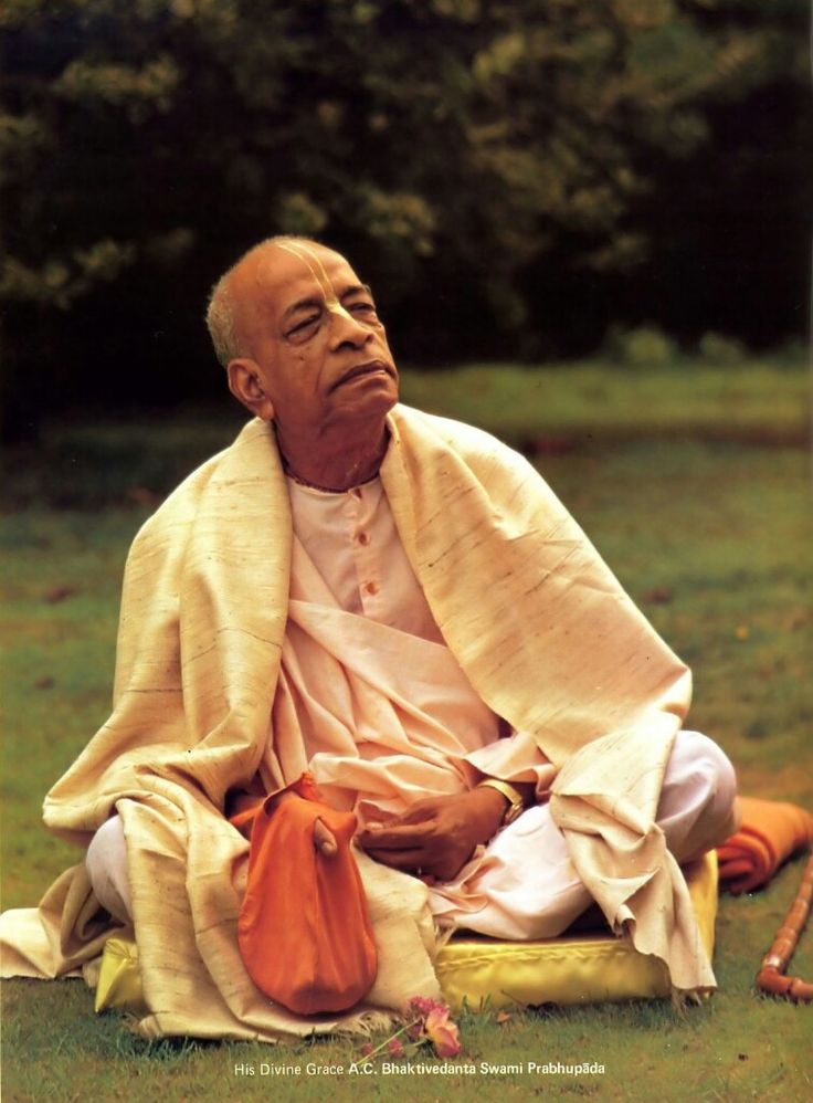 a man sitting on top of a lush green field