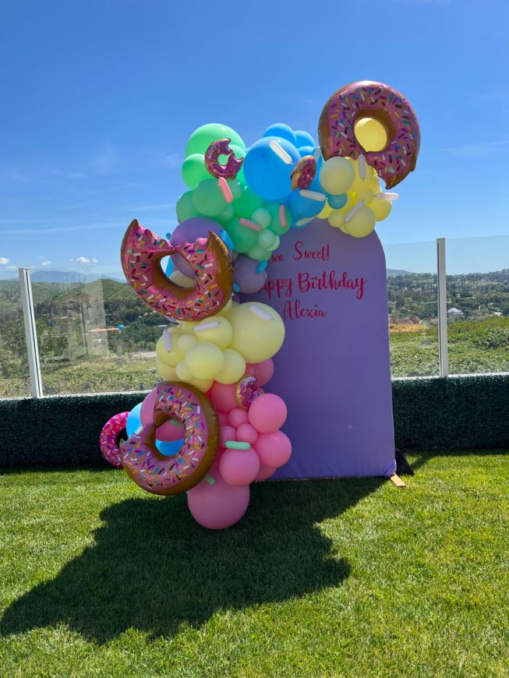 balloons and doughnuts are on display in the grass