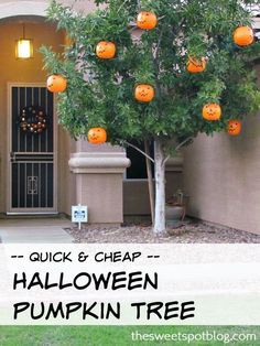 an orange tree with pumpkins on it in front of a house that says quick and cheap halloween pumpkin tree