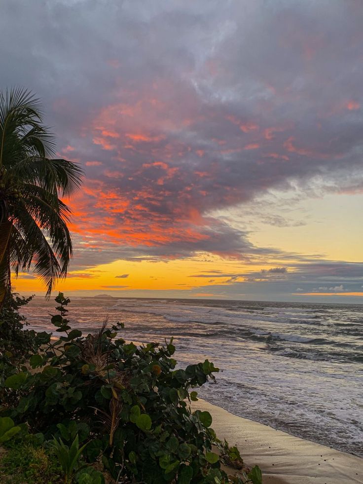 the sun is setting over the ocean with palm trees on the shore and waves coming in